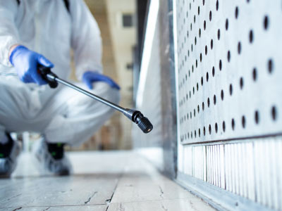 DIsinfestazione uccelli alati chemigien
