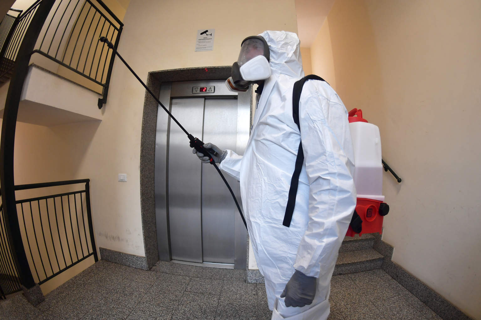 Chemigien leader nella derattizzazione a Rieti