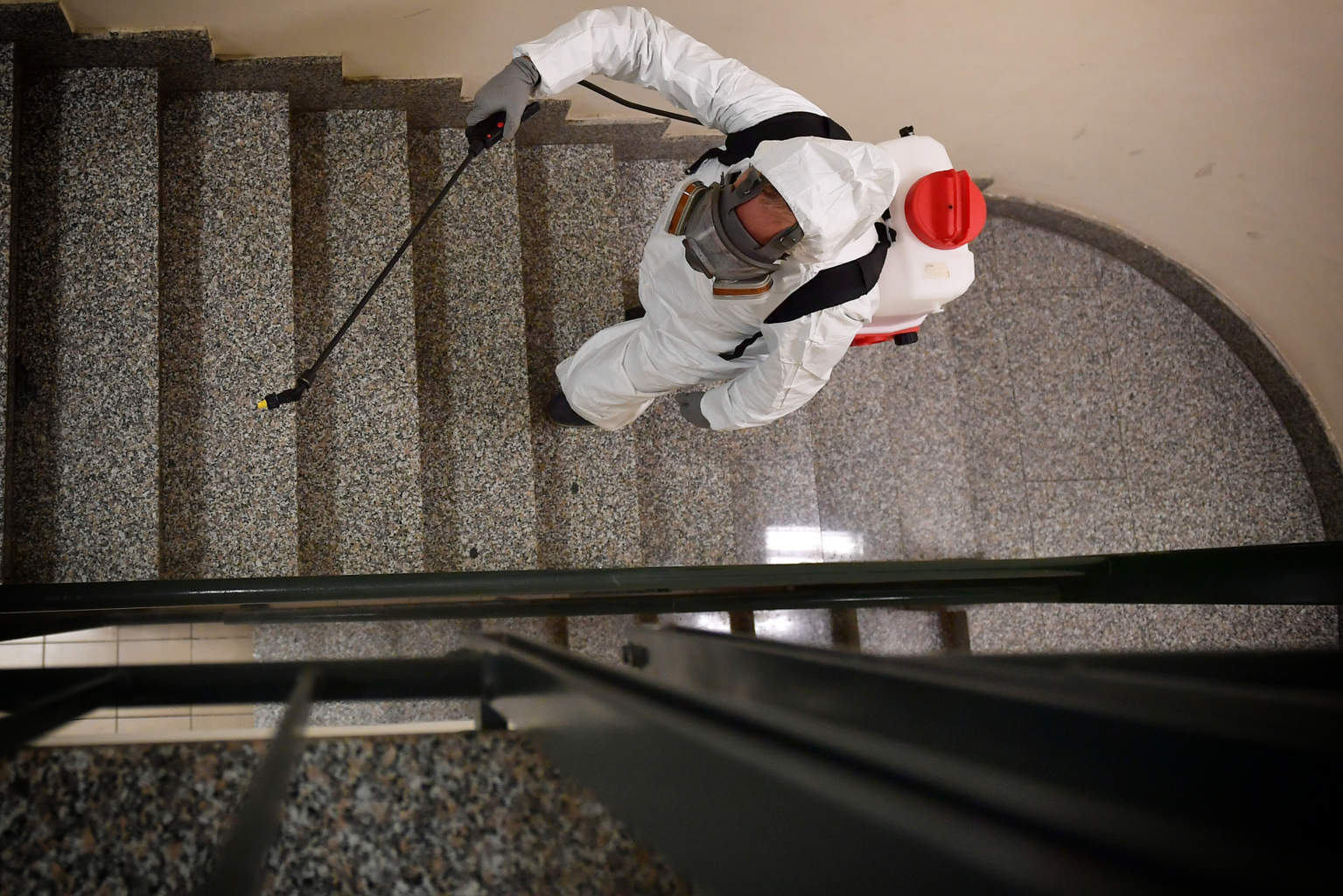 Disinfestazioni e interventi di sanifiazione a Rieti
